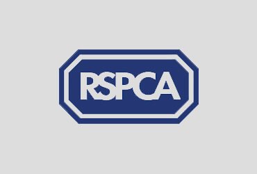 rspca head office uk