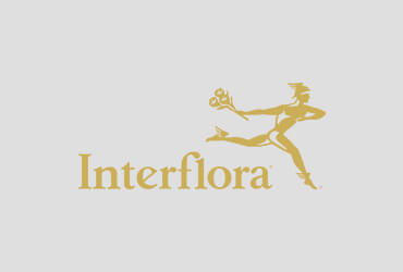 interflora head office uk